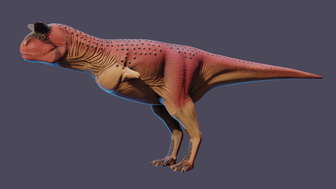 Carnotaurus Sastrei - Dinosaur Reconstruction - CGHero